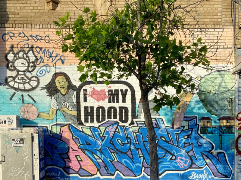 I Am The Bronx I love my hood